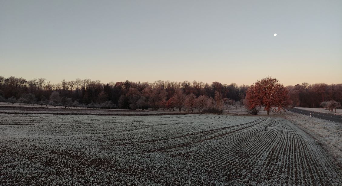 Winterlandschaft